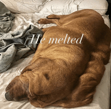 Melted GIF - Melted GIFs