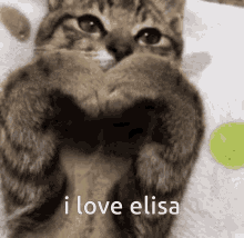 I Love Elisa GIF - I Love Elisa GIFs
