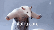 Nibiru Core GIF - Nibiru Core Nibiru Core GIFs