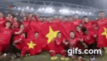Việt Nam Soccer GIF