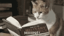 Mine Cat GIF - Mine Cat Book GIFs