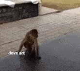 Dog Monkey GIF - Dog Monkey Window GIFs