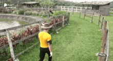 a man wearing a cowboy hat is standing next to a wooden fence in a field .