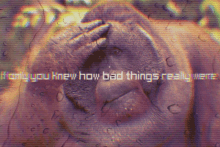 If Only You Knew How Bad Things Really Were Sad GIF - If Only You Knew How Bad Things Really Were Sad Rain GIFs