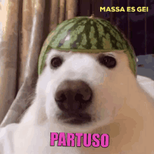 Massa Es Gei Partuso GIF - Massa Es Gei Partuso Shades On GIFs