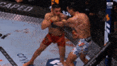 two men are fighting in a boxing ring with the ufc logo on the wall behind them