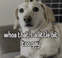 Homophobic Dog GIF - Homophobic Dog GIFs