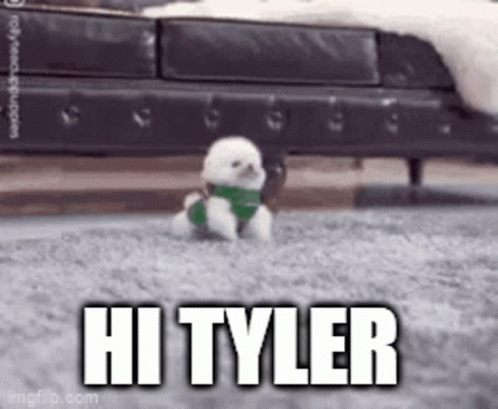 Hi Tyler GIF - Hi Tyler Hi Tyler GIFs