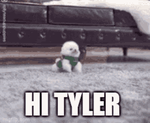 Hi Tyler GIF - Hi Tyler Hi Tyler GIFs
