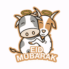 eid mubarak idul adha islamic islam sapi