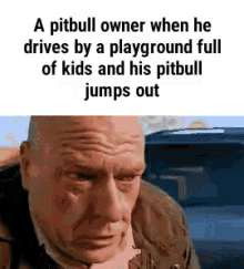 Pitbull Owner Get Outofthe Car GIF - Pitbull Owner Get Outofthe Car Dog GIFs