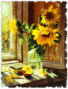 Virág Flower GIF - Virág Flower Sunflower GIFs