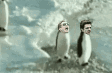 Penguin Captainamerica GIF - Penguin Captainamerica Buckybarnes GIFs