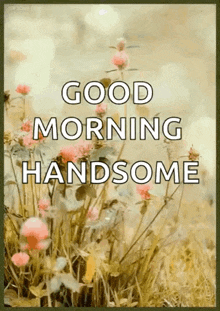 Good Morning Flowers GIF - Good Morning Flowers Calm GIFs