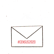 count census