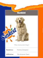Sunkist Dog Half Life Sticker - Sunkist Dog Half Life Stickers