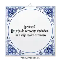 a blue and white tile that says ' sproeten ? dat zijn de verroeste uiteinden van mijn stalen zenuwen '