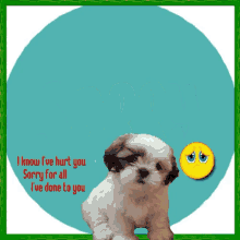 Sorry Sad Puppy GIF