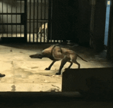 Dishonored Wolfhound GIF