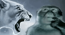 a painting of a lion and a monkey