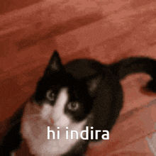 Hello Hi GIF - Hello Hi Indira GIFs