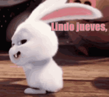 Un Conejito Bailando GIF - Lindo Jueves Guapo Conejo GIFs