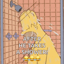 homer bath shower