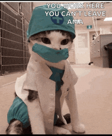 a cat wearing a surgical mask and a surgeon 's hat with a cross on it