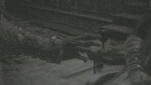Bloodbo Lady Maria GIF - Bloodbo Lady Maria A Corpse Should Be Left Well Alone GIFs