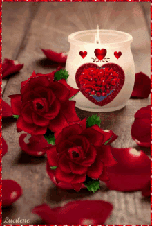 ivonete faria red roses candle love happy valentines day