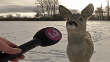 a person is holding a microphone with the number 3 on it in front of a deer