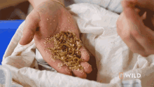 Worms National Geographic GIF