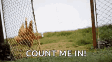Running Chicken Count Me In GIF - Running Chicken Count Me In Wave GIFs