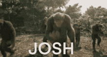 Josh Jsmooveboy GIF - Josh Jsmooveboy GIFs
