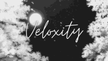 Veloxity Velox GIF - Veloxity Velox Bgmi GIFs