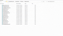a screenshot of a windows explorer window showing a list of files
