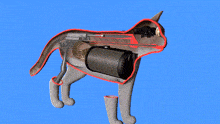 a computer generated image of a dog with bullets in it 's stomach