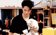 a man is holding a small white dog in his arms while holding a brush .