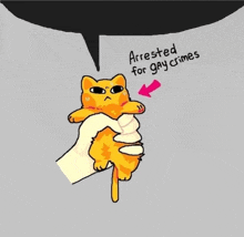 a cartoon of a person holding a cat with the words arrested for gay crimes below it