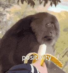 a monkey is eating a banana and the word positivity is on the bottom