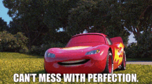 Cars Lightning Mcqueen GIF - Cars Lightning Mcqueen Cant Mess With Perfection GIFs