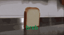 Brebgang Bread GIF - Brebgang Breb Bread GIFs