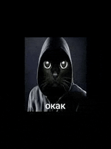 a black cat is wearing a hoodie with a hood on it .