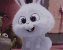 Cute Rabbit GIF - Cute Rabbit Adorable GIFs