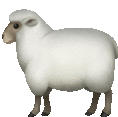 Ewe Lamb Sticker - Ewe Lamb Sheep Stickers