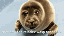 Reindev Minecraft GIF - Reindev Minecraft Wasp GIFs
