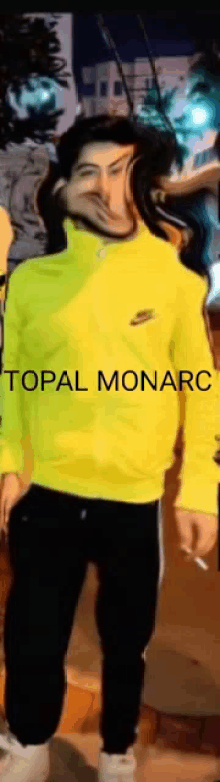 Topal Topal Monarc GIF - Topal Topal Monarc GIFs