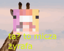 Micza GIF - Micza GIFs