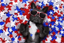 a dog wearing sunglasses is laying on a pile of red , white , and blue stars .