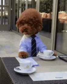 Coffee Puppy GIF - Coffee Puppy Doggy Play Date GIFs